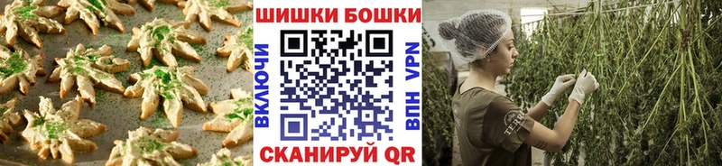 OMG ONION  Братск  Canna-Cookies конопля 