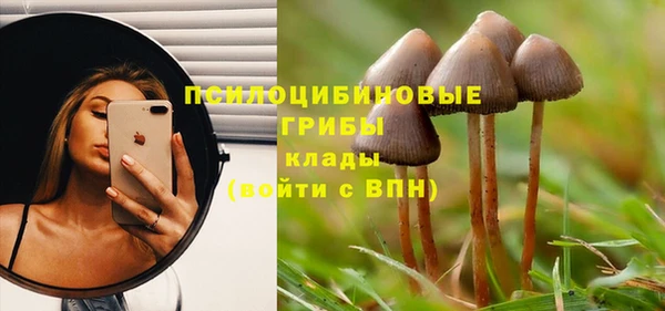 метамфетамин Липки
