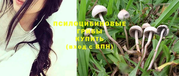 метамфетамин Липки