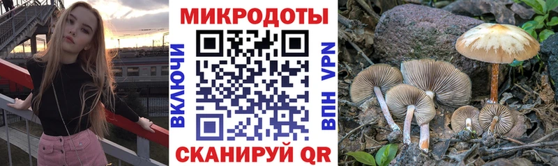 Галлюциногенные грибы мухоморы Братск