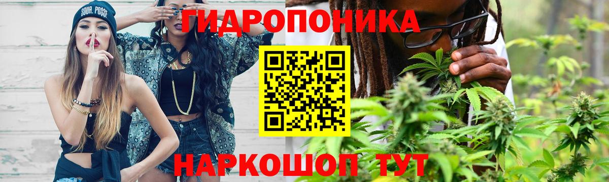 Братск  Бошки марихуана AK-47  Вход с VPN  Канабис Amnesia  Каннабис Bruce Banner  Шишки марихуана AK-47 